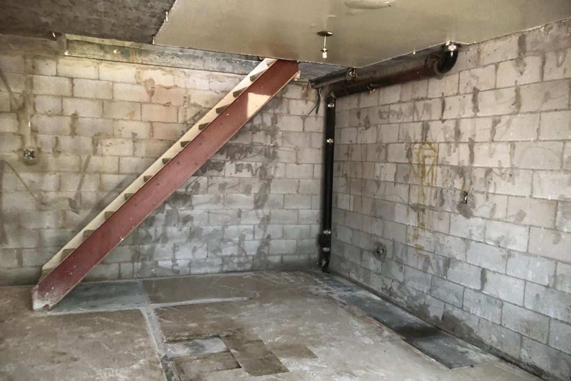 Mould Removal York1 0.9.142