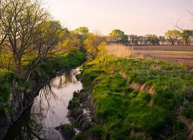 Bioremediation Services Drainage Channel in Rural Area