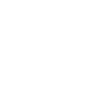 PPC Page Icons-08 PPC Page Icons-08