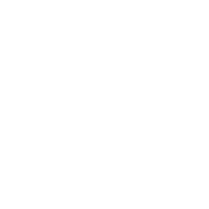PPC Page Icons-10