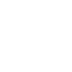 PPC Page Icons-13